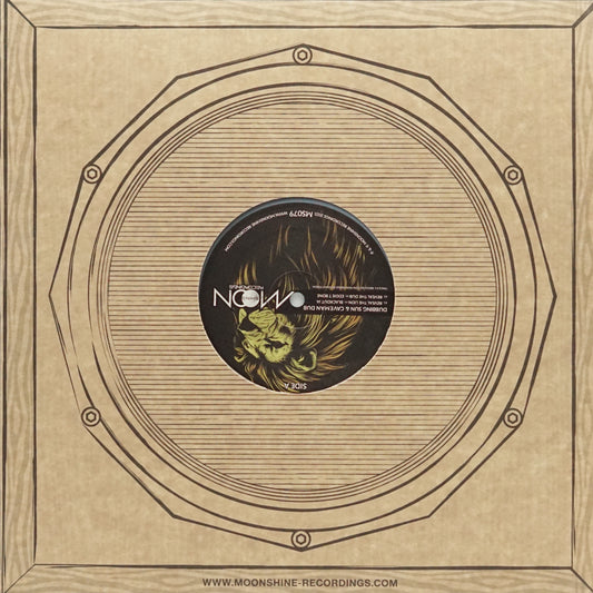 DUBBING SUN & CAVEMAN DUB & SMALL TOWN DUBZ – REVEAL THE LION / BABYLON A FALL