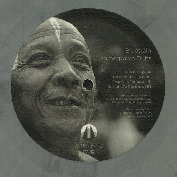 BLUETRAIN – HOMEGROWN DUBS