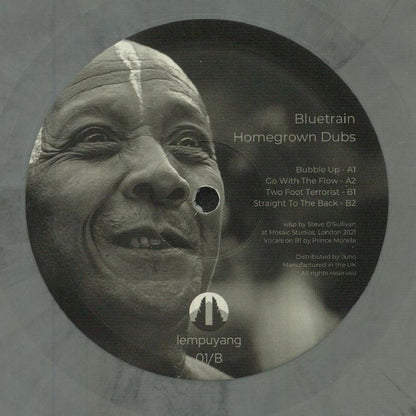 BLUETRAIN – HOMEGROWN DUBS