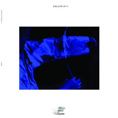 LUIZAR, CLAUDIO PRC, WRONG ASSESSMENT – MECHANISM