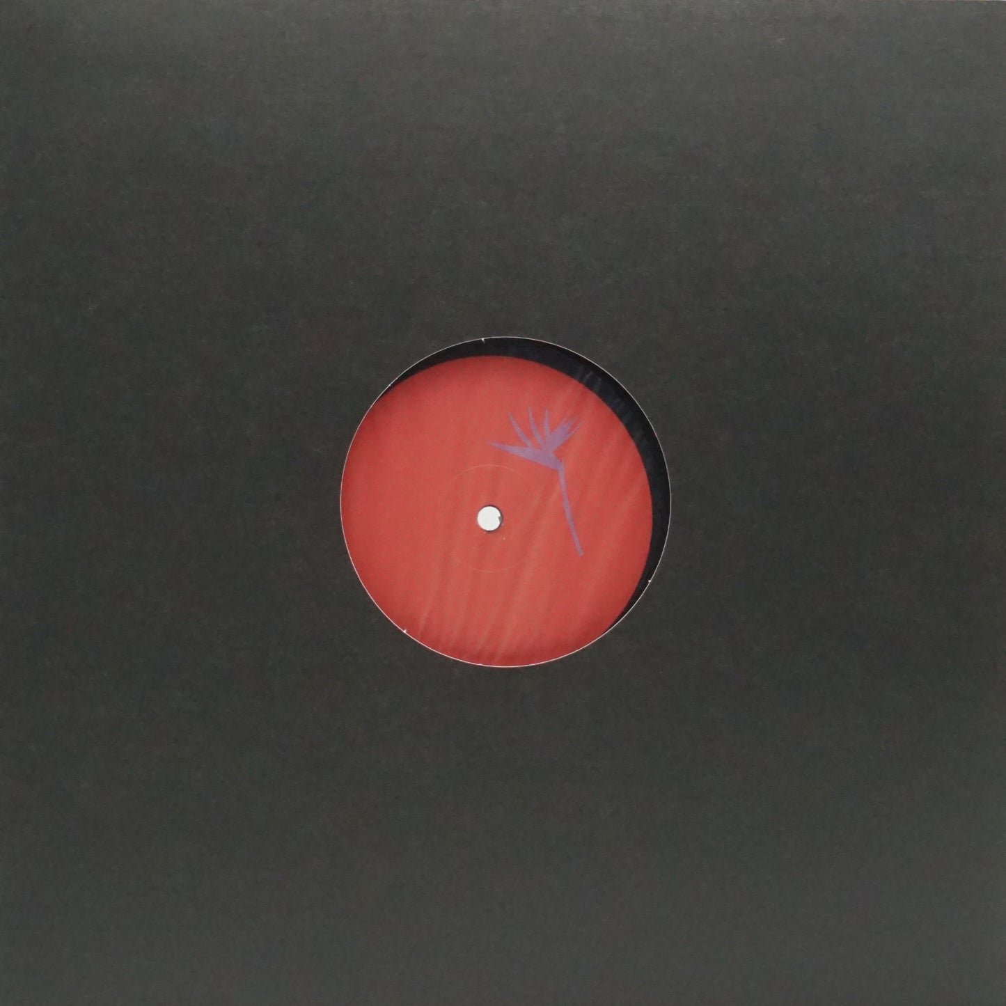 RWN – DANCING IN CIRCLES