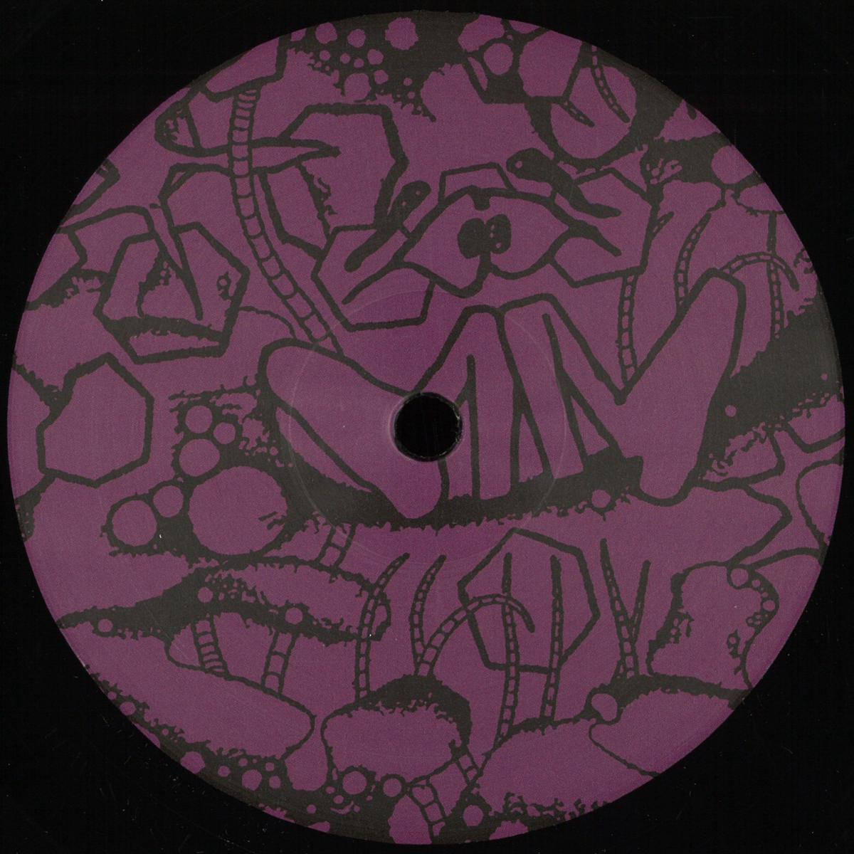 Aiden Francis Hybrid Man Floral Oceans vinyl record with colorful album cover artwork featuring abstract floral ocean design.