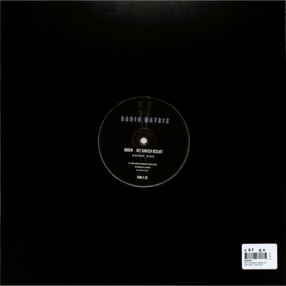 Second Hand vinyl record titled "Het Sonisch Besluit" by BODEM, showing the front cover with artwork and title text.