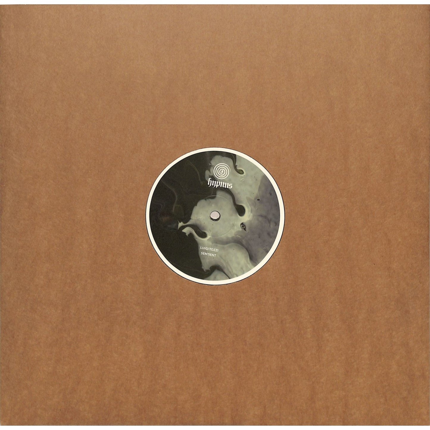 Luigi Tozzi Sentient vinyl record with album cover art, featuring abstract design and bold typography, by Triple Vision.