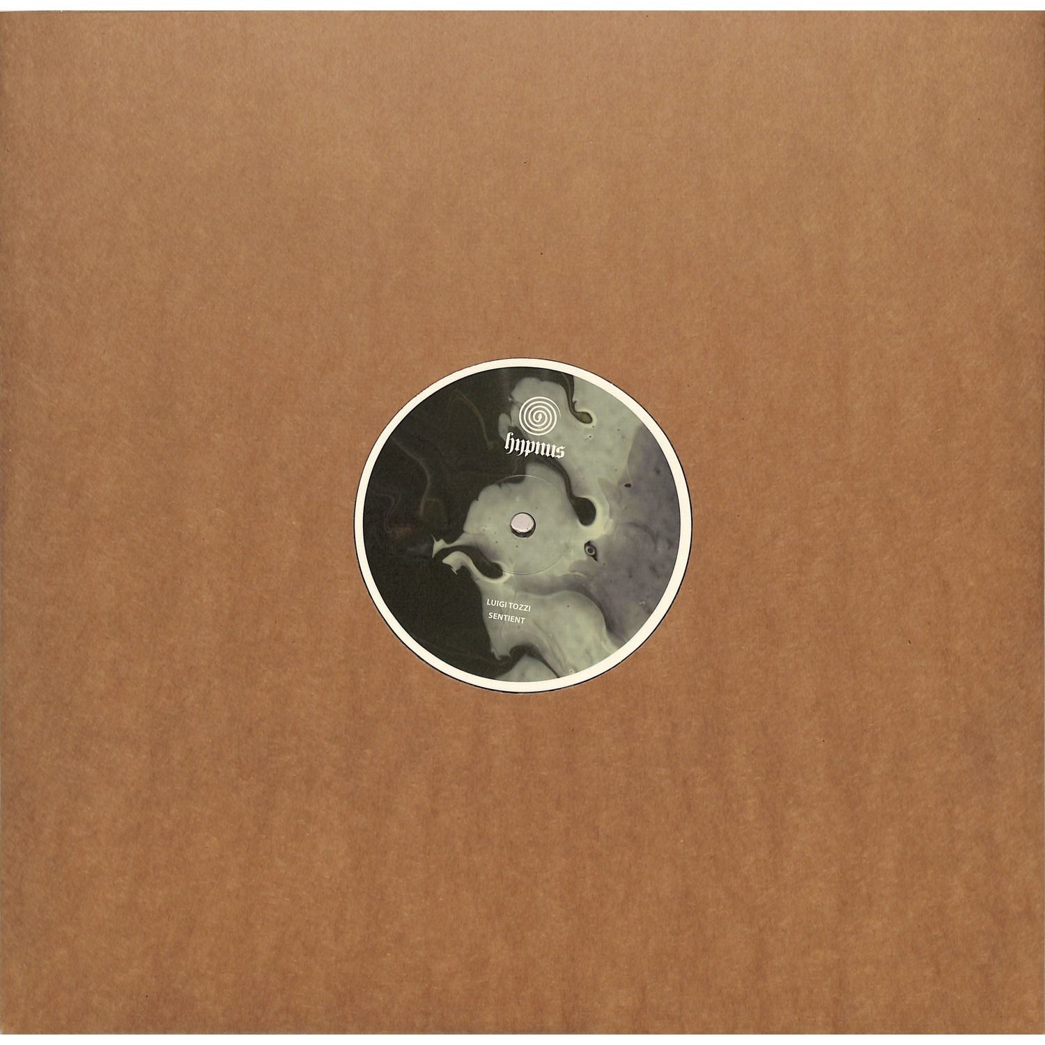Luigi Tozzi Sentient vinyl record with album cover art, featuring abstract design and bold typography, by Triple Vision.