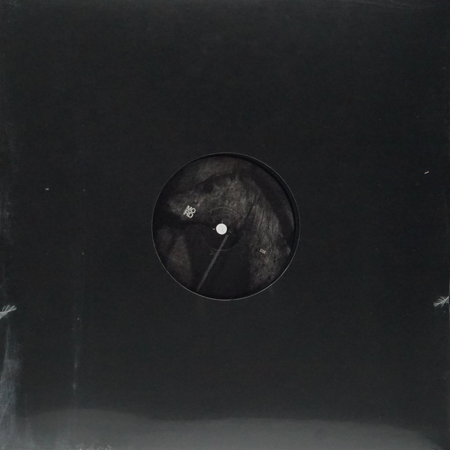 ECHOLOGIST – INSIDE DIMENSIONS