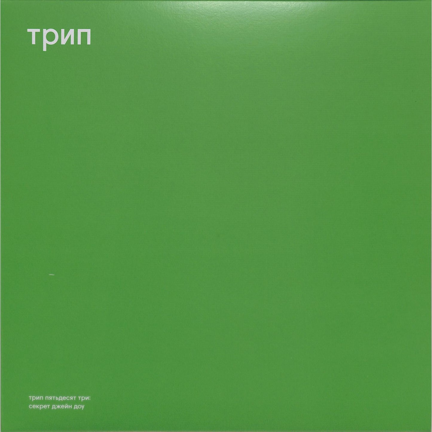 Vladimir Dubyshkin vinyl record titled Jane Doe's Secret by Triple Vision featuring album cover art and record details.