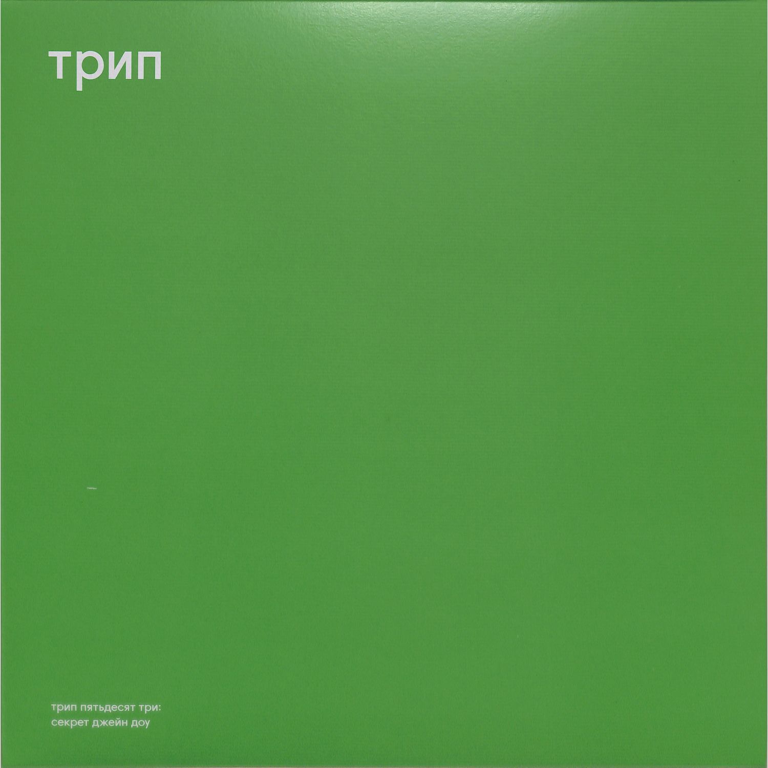 Vladimir Dubyshkin vinyl record titled Jane Doe's Secret by Triple Vision featuring album cover art and record details.