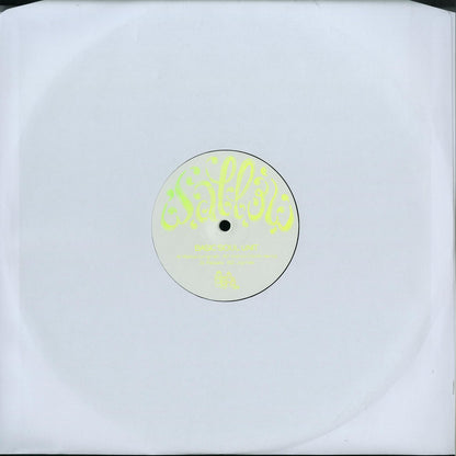 Second Hand vinyl record "BASIC SOUL UNIT" by VOISKI from the WALLOW series, showing the record cover with artwork and title.
