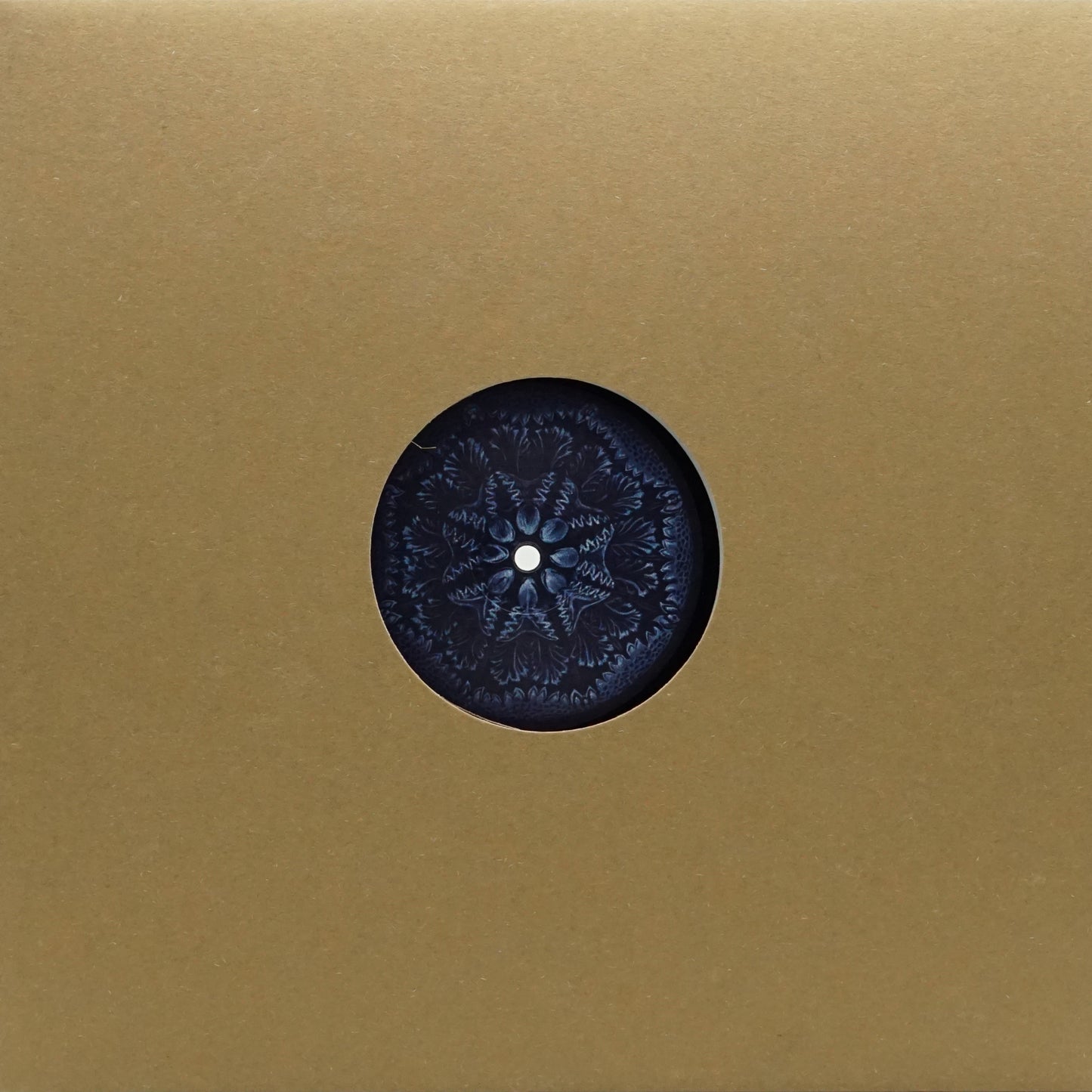 PASCAL BENJAMIN – PSCL333