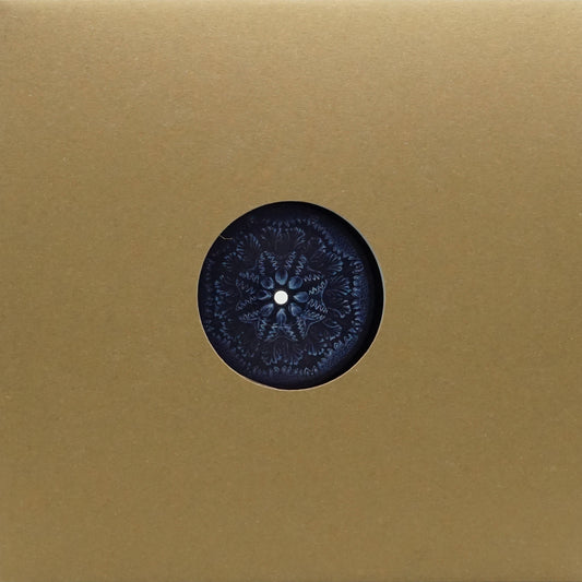 PASCAL BENJAMIN – PSCL333