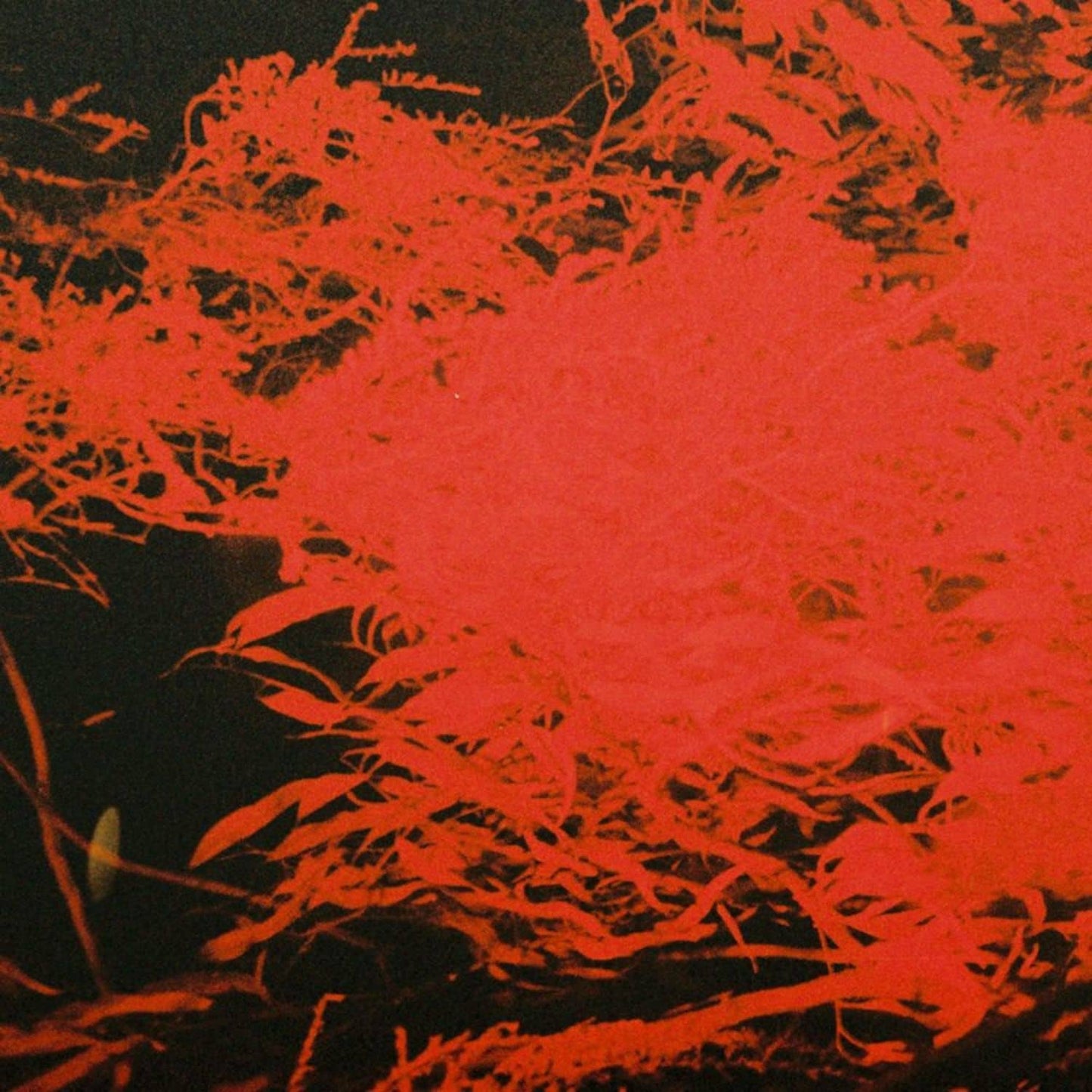 Anthony Naples In Studio Magic vinyl record by Rubadub featuring colorful abstract artwork on the front cover.