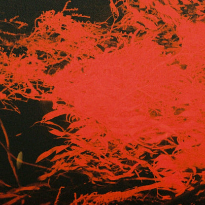 Anthony Naples In Studio Magic vinyl record by Rubadub featuring colorful abstract artwork on the front cover.