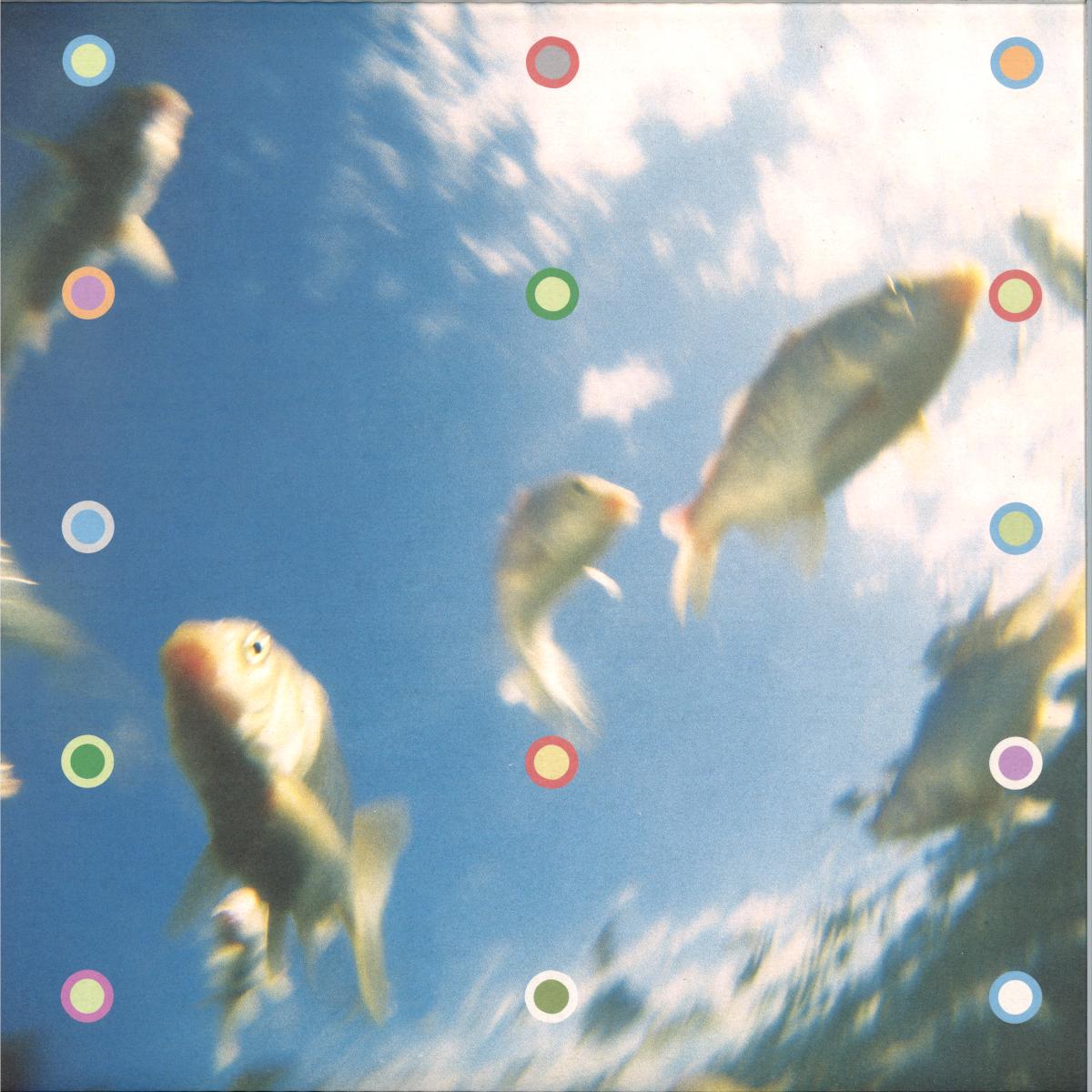 ALADDIN – THE AQUATIC GENIE