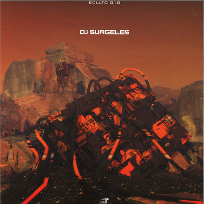 DJ SURGELES – VISIONS OF THE WISE - Chippy Chasers Record Store