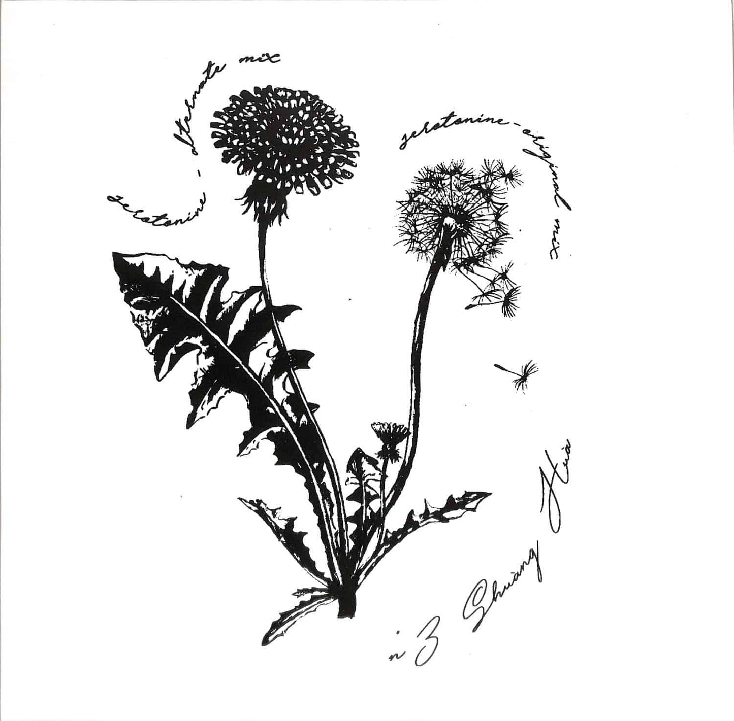 SHUANG HUA – N°3 - Chippy Chasers Record Store