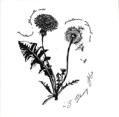 SHUANG HUA – N°3 - Chippy Chasers Record Store