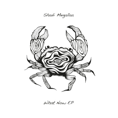 SHADI MEGALLAA, ZLENE & MATHIAS HINDS, MELCHIOR PRODUCTIONS LTD – WHAT NOW