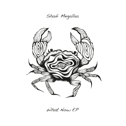 SHADI MEGALLAA, ZLENE & MATHIAS HINDS, MELCHIOR PRODUCTIONS LTD – WHAT NOW