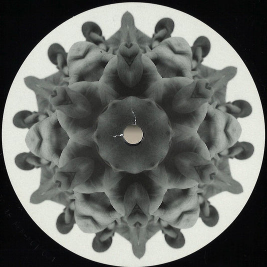 MOI – 01