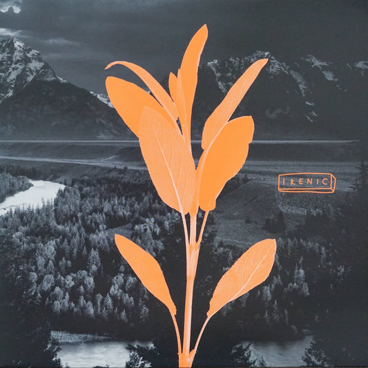 ALTITUDE – BLACKSTOCK