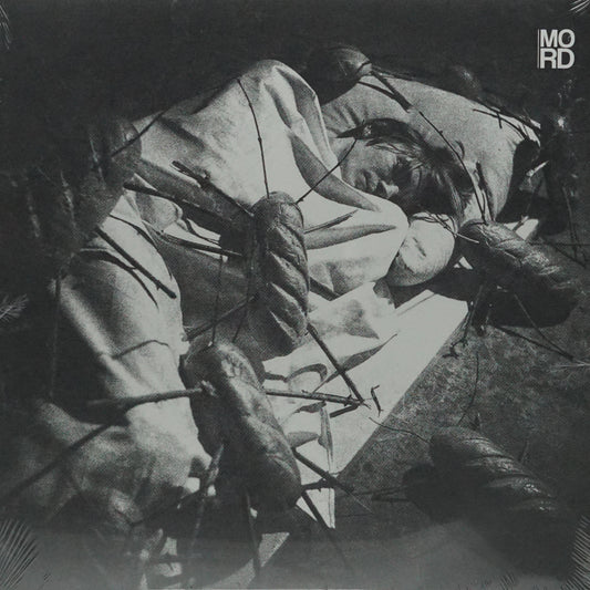 STANISLAV TOLKACHEV – WHEN YOU ARE NOT AT HOME